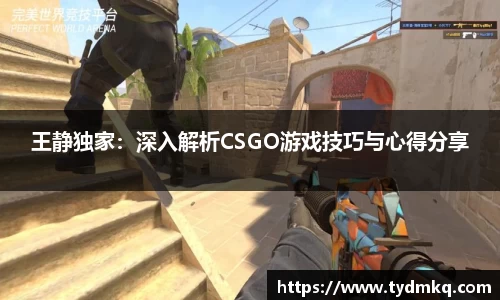 王静独家：深入解析CSGO游戏技巧与心得分享