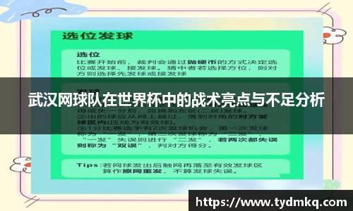 武汉网球队在世界杯中的战术亮点与不足分析