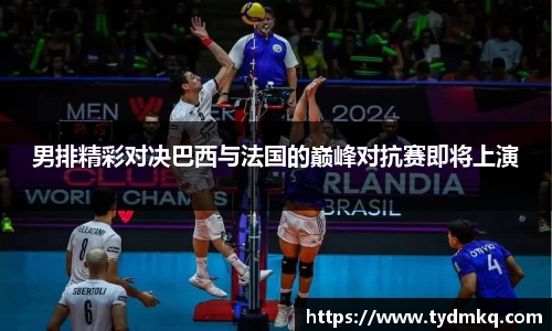 男排精彩对决巴西与法国的巅峰对抗赛即将上演